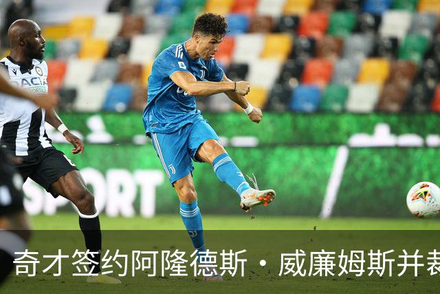 奇才签约阿隆德斯·威廉姆斯并裁掉拉比希埃