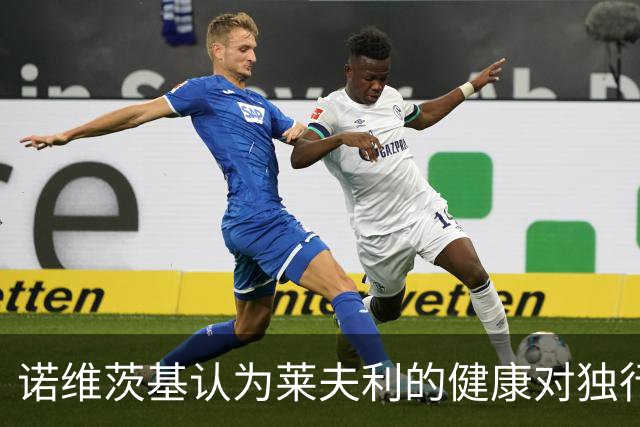 诺维茨基认为莱夫利的健康对独行侠至关重要